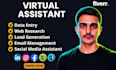 be your virtual assistant for data entry, web research, copy paste, social media