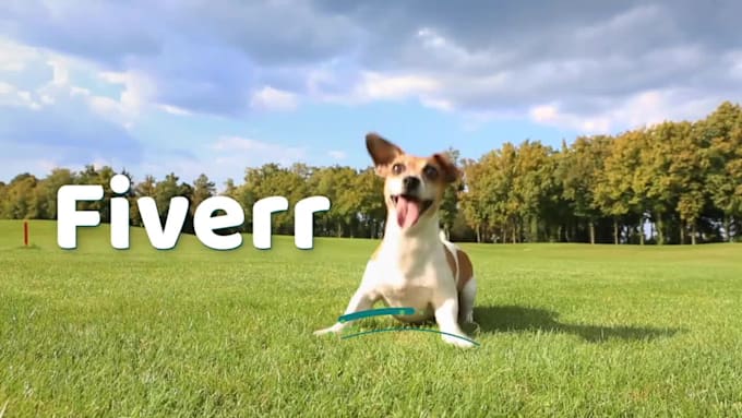 do eager dog video ad
