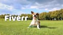 do eager dog video ad