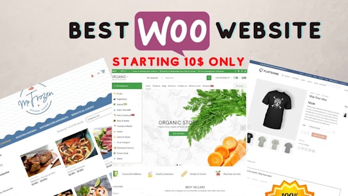 build a business wordpress woocommerce website for your online store
