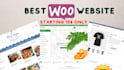 build a business wordpress woocommerce website for your online store