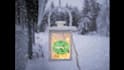 make an animated GIF snow effect on your photo or your logo