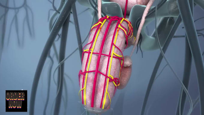 create realistic 3d medical animation ai anatomy videos for surgical procedures