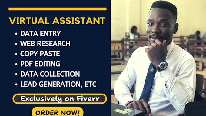 be your virtual assistant for data entry and web research
