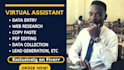 be your virtual assistant for data entry and web research