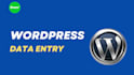 edit, redesign your wordpress website and data entry