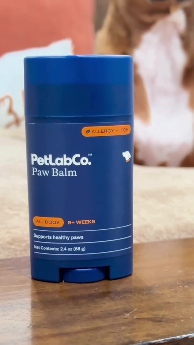 create ugc content for your pet related products