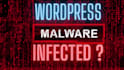 professional malware removal service, secure cleanup for websites and servers