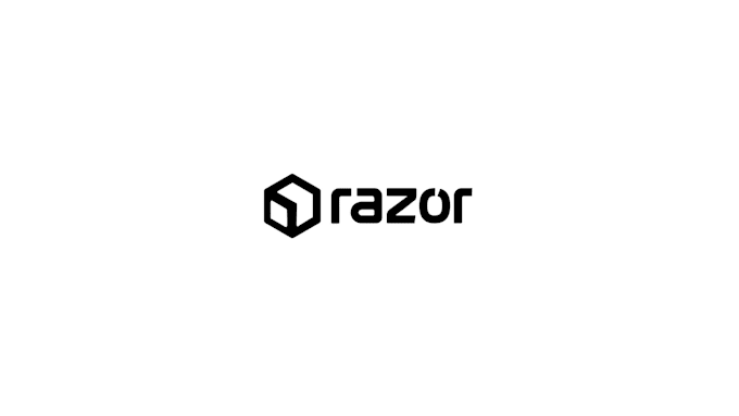 design unique custom intro logo animation