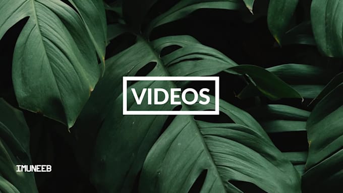 edit your social media videos