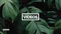 edit your social media videos