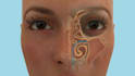 create high quality 3d medical animation, surgery animation