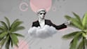 animate a custom collage explainer video