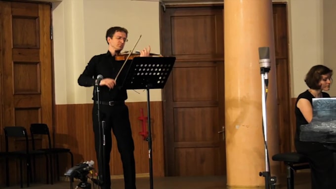 provide violin lessons to all levels