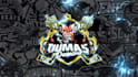 design sports mascot, cartoon or logo for your team, event, tournament, league