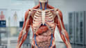 create aimedical animation for anatomy disease and medical product visualization