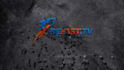 create rocking logo reveal