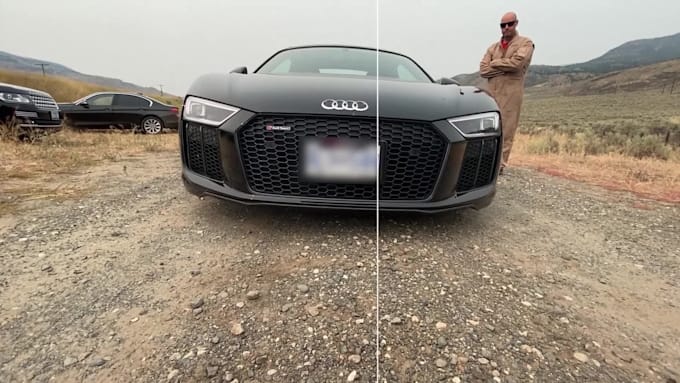 blur face object logo or anything in your video