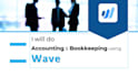 do accounting and bookkeeping using wave accounting software and excel