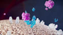 create 3d medical animation with high quality rendering