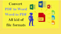 convert pdf to word and word to pdf ppt in 24 hours