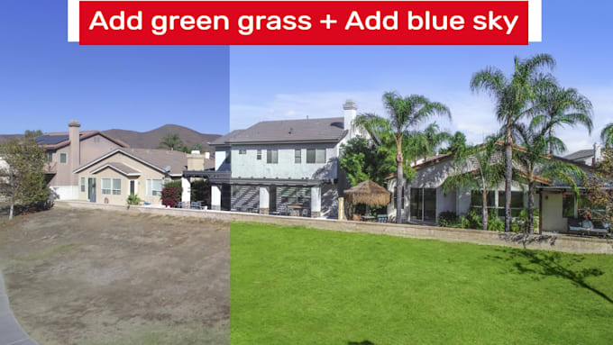 replace grass, blue sky professionally fast turnaround