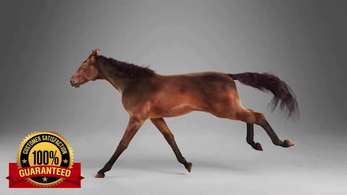 Create realistic animal animation, 3d animal model animal rigging ...