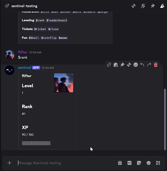 develop a custom discord bot for your server