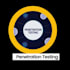 conduct penetration testing and vulnerability assessment