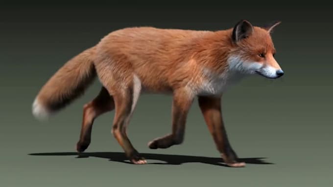 create realistic 3d animal animation, 3d creature design, animal models,  fur