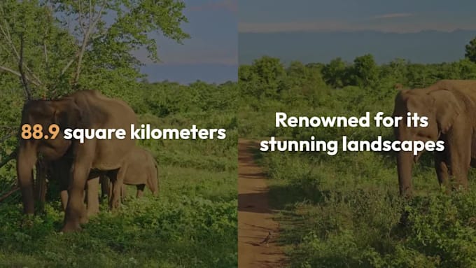arrange your personalized travel itinerary  in sri lanka