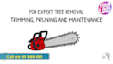 create a tree removal video or tree trimming video