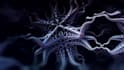 create a 3d psychedelic fractal animation for your trippy music