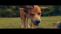 do cinematic travel or youtube video editing