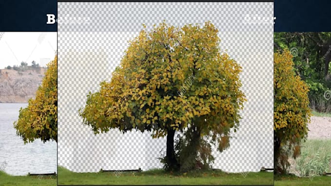 remove background from image to make it transparent