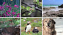 edit best split screen and collage videos