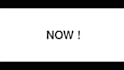 turn your words into smooth typography animation videos