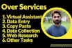 be your personal administrative virtual assistant data entry