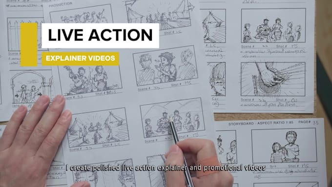 a professional promotional video for your business