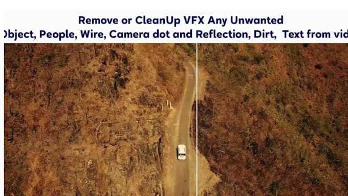 remove any unwanted object from video vfx