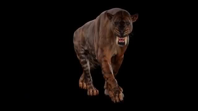 do realistic 3d animal animation, 3d animal rigging, 3d animal design, vfx cgi