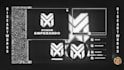 design a professional twitch overlay and stream package