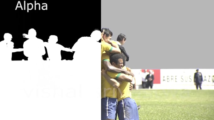 do professional rotoscoping for your videos