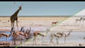 documentary color grading your video