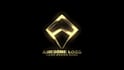 create professional 2d logo animation and youtube intro