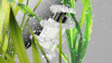 make a premium realistic 3d product animation video