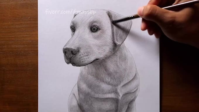 draw portrait of your pet