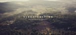 do cinematic video editing for you