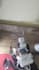 write program for your raspberry pi projects using python