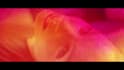 edit a professional sizzle reel for you
